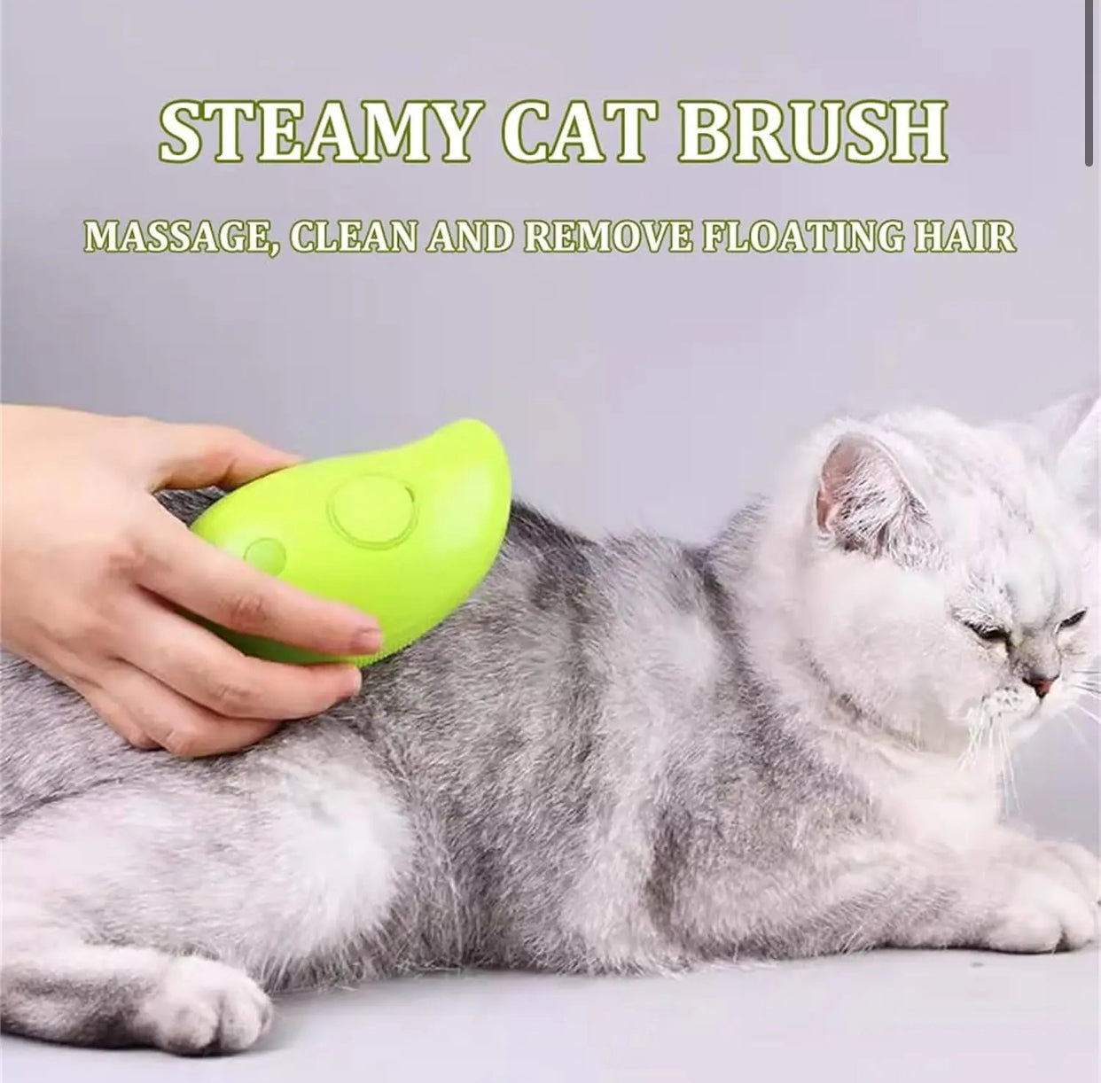 3 in 1 Steamy Brush