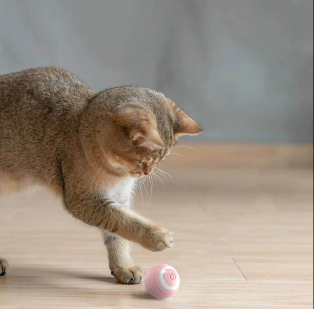 Automatic rolling ball