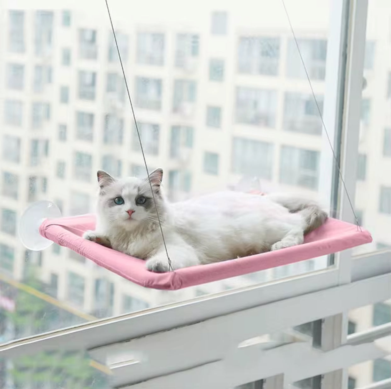 Petlish Hammock