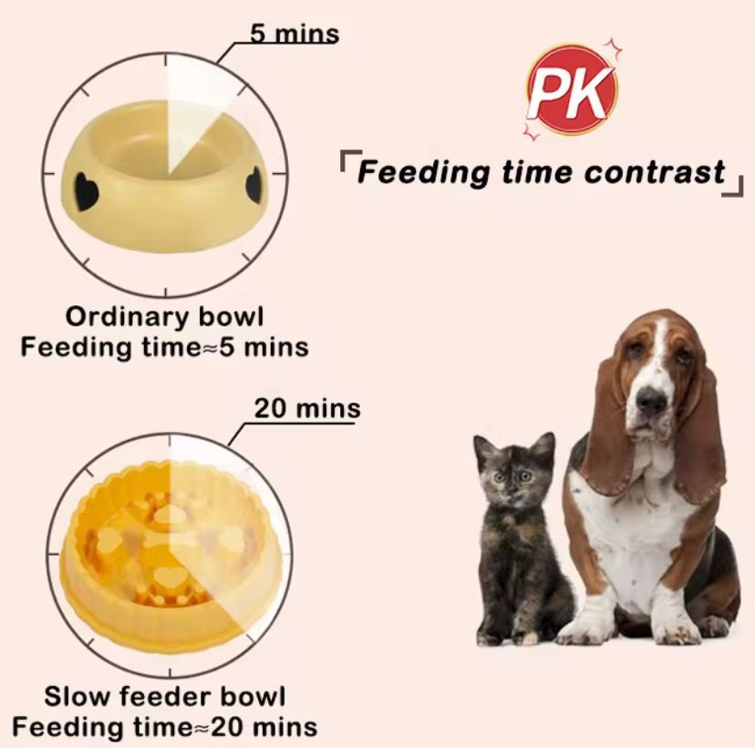 Slow Feeder Bowl